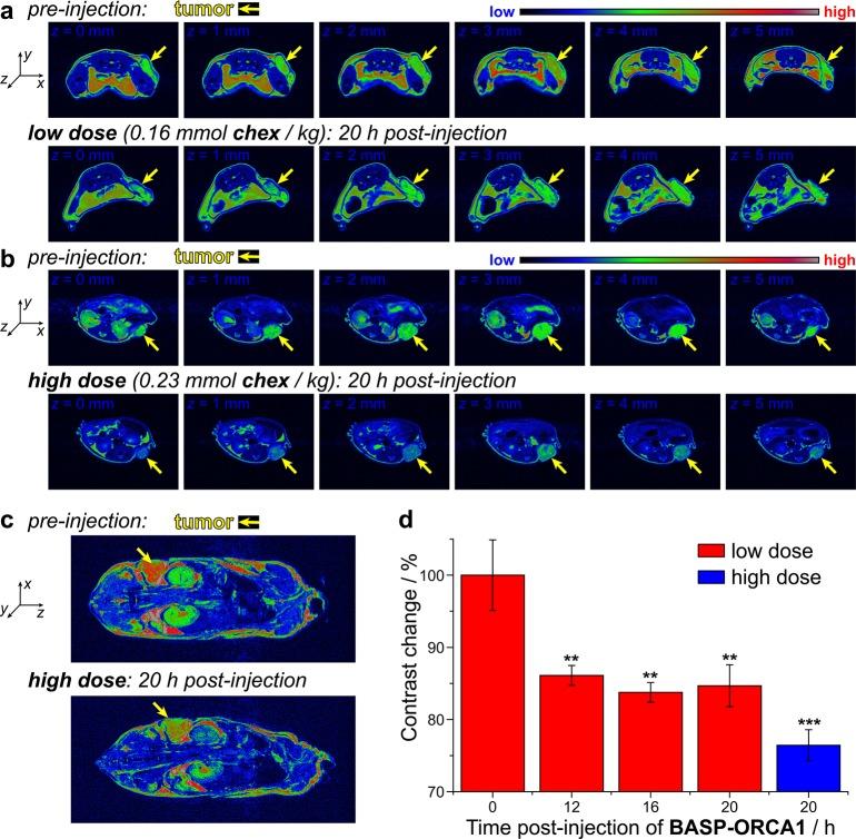 https://cdn.ncbi.nlm.nih.gov/pmc/blobs/2ef9/5532724/ab47f58e1c6f/oc-2017-002534_0005.jpg