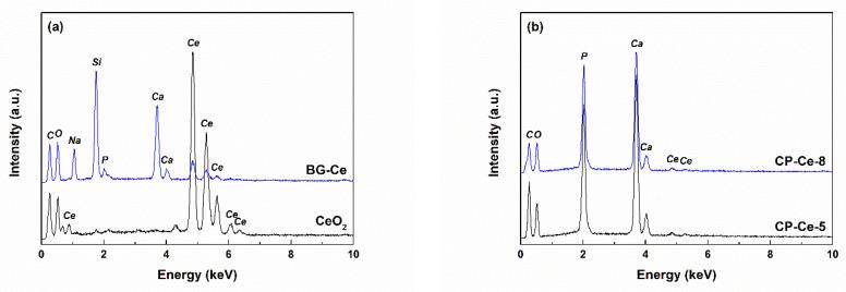https://cdn.ncbi.nlm.nih.gov/pmc/blobs/2efc/10532413/7444ce6fb492/ijms-24-14201-g004.jpg