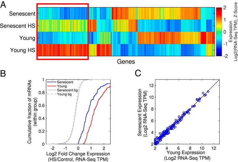 https://cdn.ncbi.nlm.nih.gov/pmc/blobs/2efc/7749315/76952f0ba013/pnas.2018138117fig01.jpg