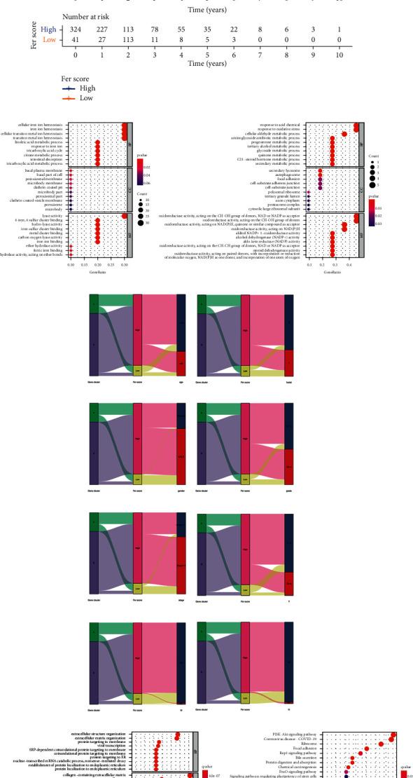 https://cdn.ncbi.nlm.nih.gov/pmc/blobs/2efc/8390157/d485ddff49fc/JO2021-7391560.005.jpg