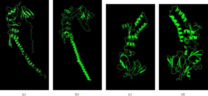 https://cdn.ncbi.nlm.nih.gov/pmc/blobs/2efd/11971507/5beff4c95996/AV2025-8864776.009.jpg