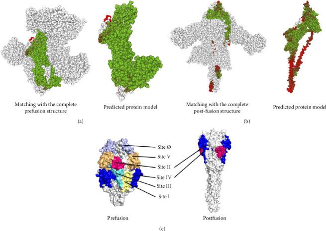 https://cdn.ncbi.nlm.nih.gov/pmc/blobs/2efd/11971507/96bd72328bbe/AV2025-8864776.006.jpg