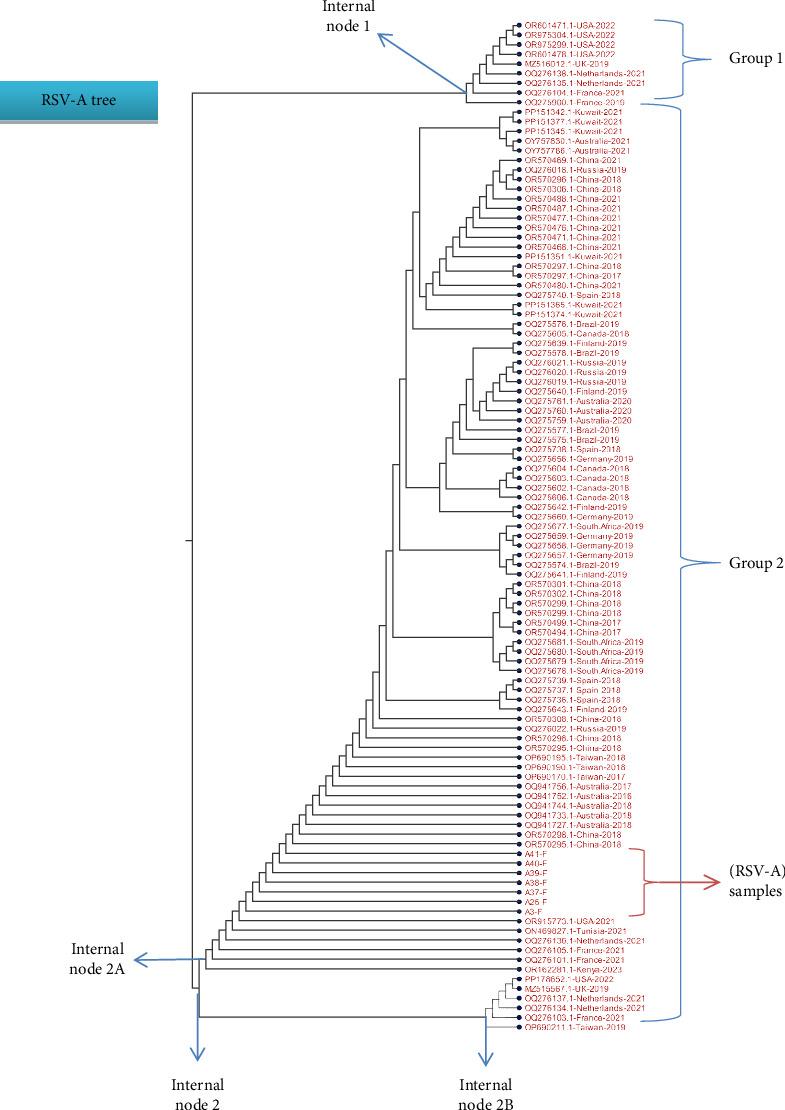 https://cdn.ncbi.nlm.nih.gov/pmc/blobs/2efd/11971507/fc7040242fa2/AV2025-8864776.004.jpg