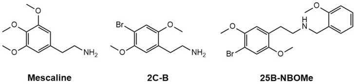 https://cdn.ncbi.nlm.nih.gov/pmc/blobs/2f00/11762925/7d9d6ad2b0d1/gr1.jpg