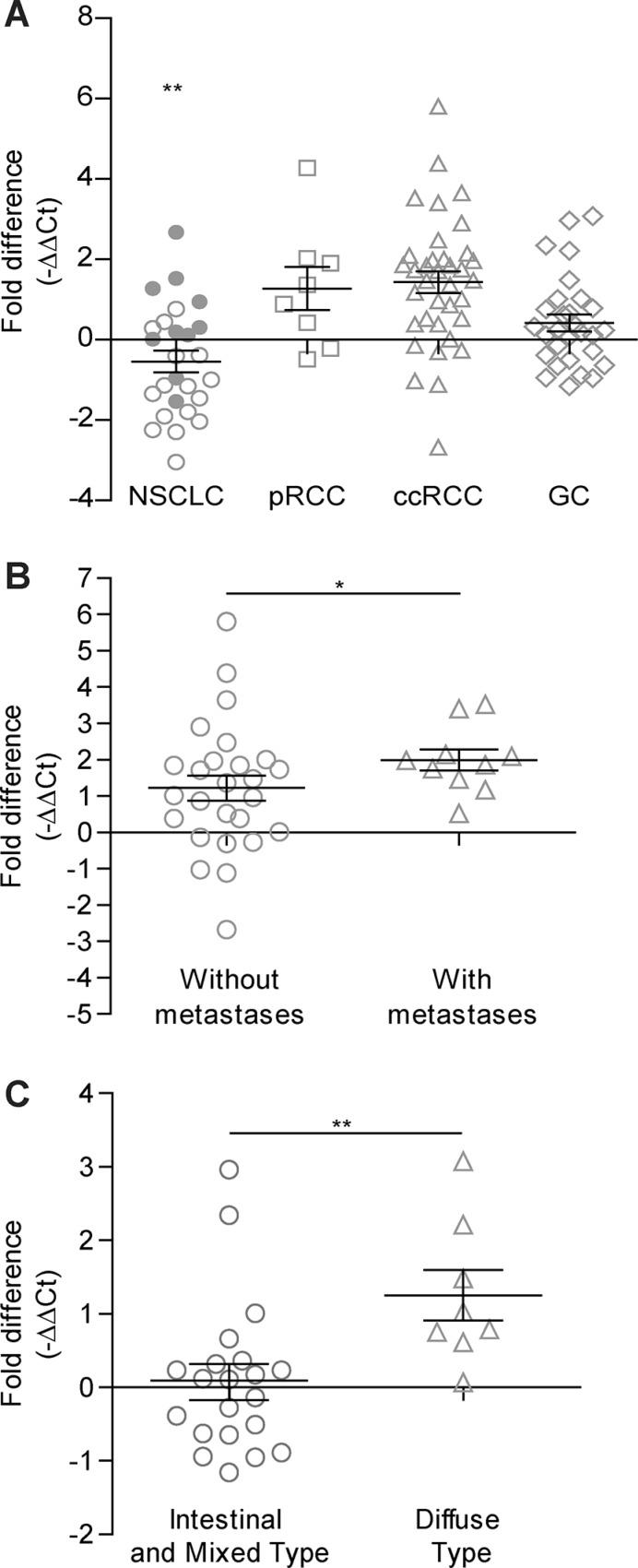 https://cdn.ncbi.nlm.nih.gov/pmc/blobs/2f05/4811499/6dd49ca32668/oncotarget-07-1808-g001.jpg