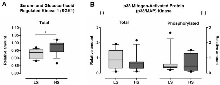 https://cdn.ncbi.nlm.nih.gov/pmc/blobs/2f06/8944840/38b2b5a836a8/antioxidants-11-00444-g005.jpg