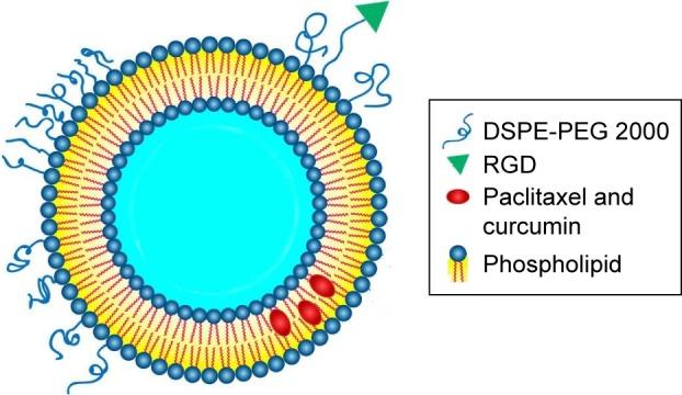 https://cdn.ncbi.nlm.nih.gov/pmc/blobs/2f0b/5927341/668d5426d3cc/ijn-13-2561Fig1.jpg