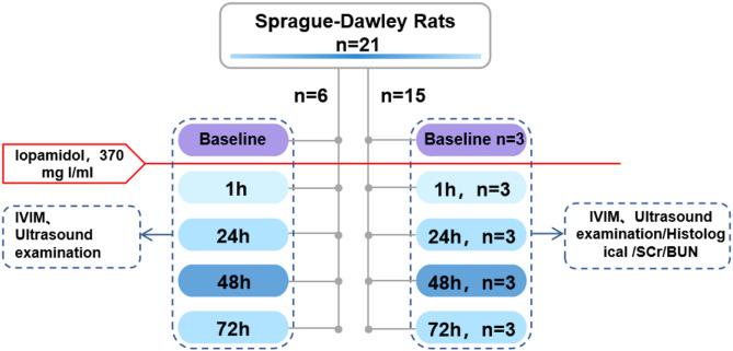 https://cdn.ncbi.nlm.nih.gov/pmc/blobs/2f0c/12273328/c315ebe0abc4/12882_2025_4329_Fig1_HTML.jpg