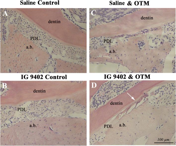 https://cdn.ncbi.nlm.nih.gov/pmc/blobs/2f0d/8310814/1bb6b91c7ac1/40510_2021_366_Fig4_HTML.jpg