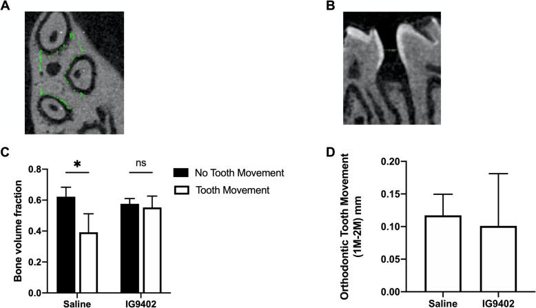 https://cdn.ncbi.nlm.nih.gov/pmc/blobs/2f0d/8310814/2ff63fab938b/40510_2021_366_Fig2_HTML.jpg
