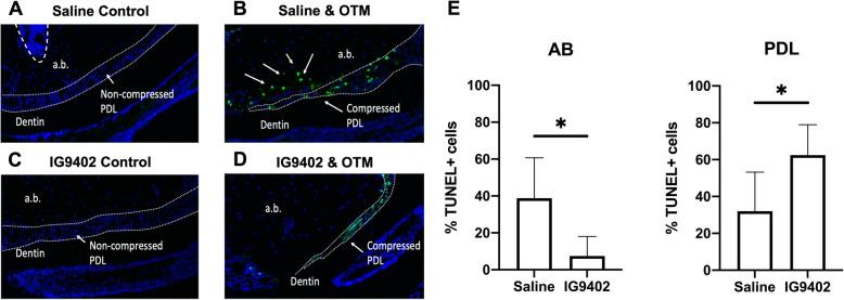 https://cdn.ncbi.nlm.nih.gov/pmc/blobs/2f0d/8310814/e20a90335602/40510_2021_366_Fig3_HTML.jpg