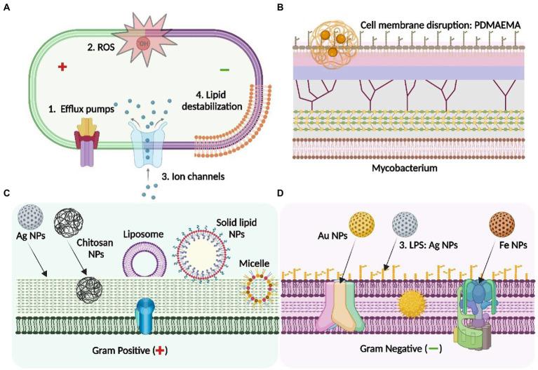 https://cdn.ncbi.nlm.nih.gov/pmc/blobs/2f0e/10160668/966b7c2d464d/fmicb-14-1135579-g002.jpg