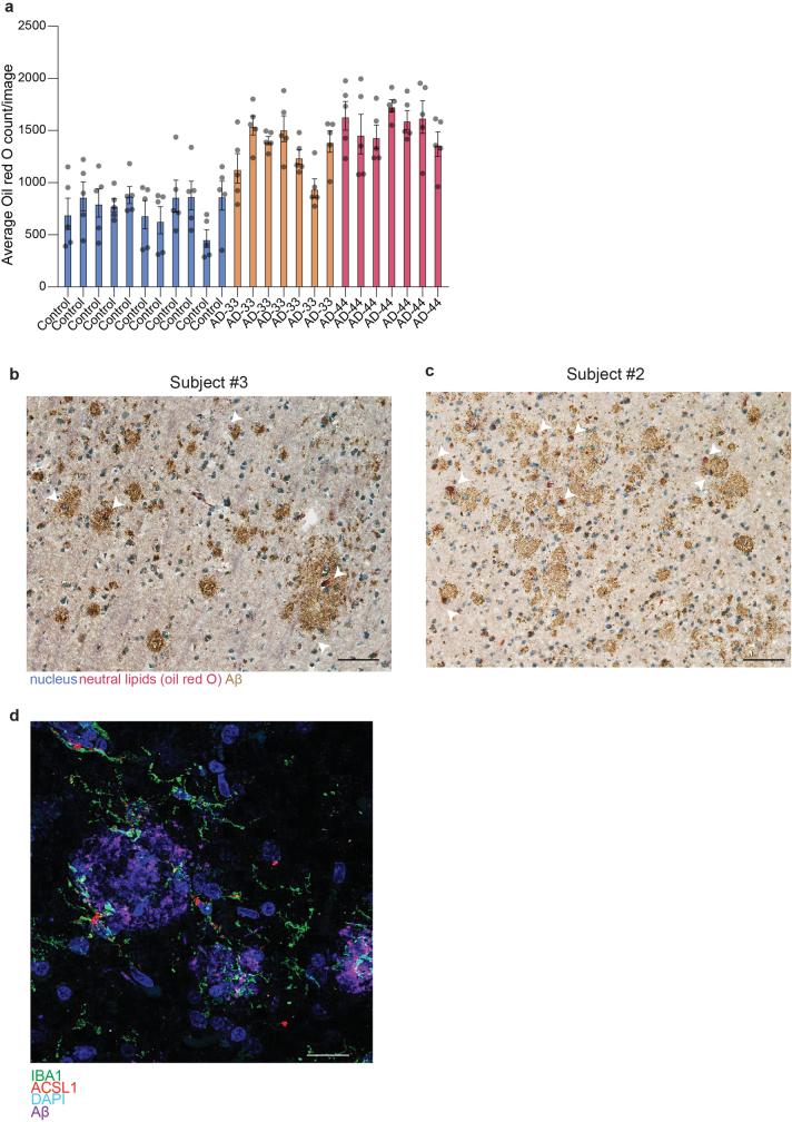 https://cdn.ncbi.nlm.nih.gov/pmc/blobs/2f0e/10990924/1cb37f16e9af/41586_2024_7185_Fig8_ESM.jpg