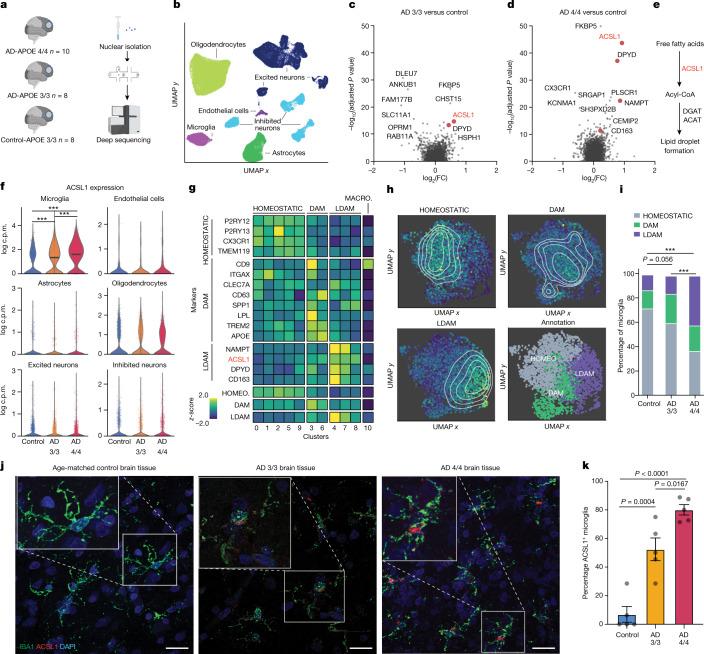 https://cdn.ncbi.nlm.nih.gov/pmc/blobs/2f0e/10990924/2162234ee9cb/41586_2024_7185_Fig1_HTML.jpg