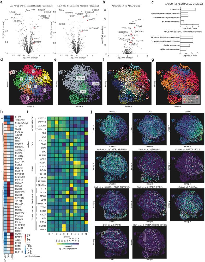 https://cdn.ncbi.nlm.nih.gov/pmc/blobs/2f0e/10990924/6ea8670c002f/41586_2024_7185_Fig7_ESM.jpg