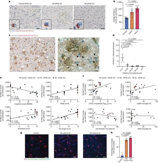 https://cdn.ncbi.nlm.nih.gov/pmc/blobs/2f0e/10990924/bc85c25659ec/41586_2024_7185_Fig2_HTML.jpg