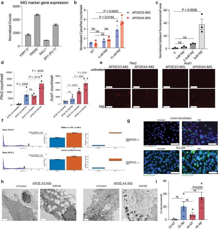 https://cdn.ncbi.nlm.nih.gov/pmc/blobs/2f0e/10990924/d7b10bd13751/41586_2024_7185_Fig9_ESM.jpg