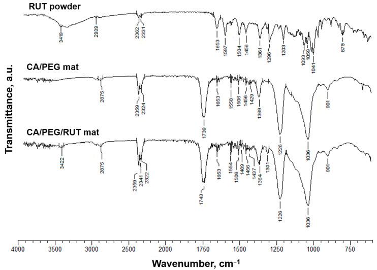 https://cdn.ncbi.nlm.nih.gov/pmc/blobs/2f0e/9783884/b23d40b10d71/polymers-14-05380-g002.jpg