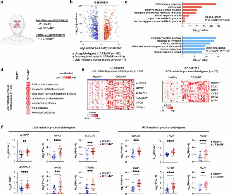 https://cdn.ncbi.nlm.nih.gov/pmc/blobs/2f0f/12045986/36a51b31cebf/12276_2025_1440_Fig1_HTML.jpg