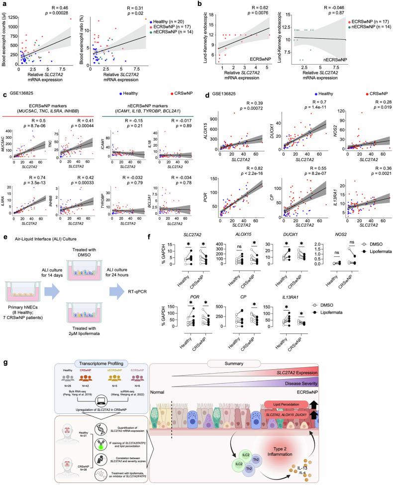 https://cdn.ncbi.nlm.nih.gov/pmc/blobs/2f0f/12045986/ae96721492c5/12276_2025_1440_Fig7_HTML.jpg