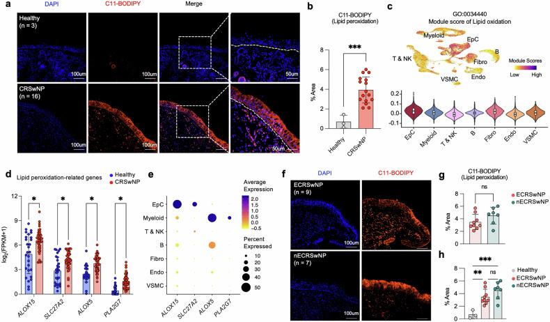 https://cdn.ncbi.nlm.nih.gov/pmc/blobs/2f0f/12045986/c137bb4e0284/12276_2025_1440_Fig3_HTML.jpg