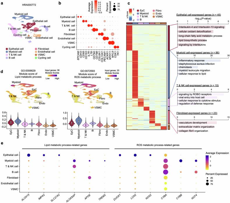 https://cdn.ncbi.nlm.nih.gov/pmc/blobs/2f0f/12045986/c1939909353e/12276_2025_1440_Fig2_HTML.jpg