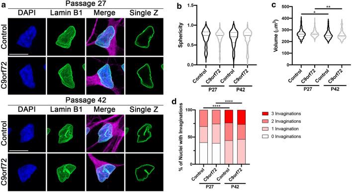 https://cdn.ncbi.nlm.nih.gov/pmc/blobs/2f0f/7977268/68950bb559b7/40478_2021_1150_Fig1_HTML.jpg