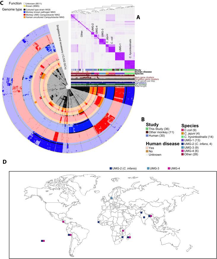 https://cdn.ncbi.nlm.nih.gov/pmc/blobs/2f11/10770169/13e54edce85b/42003_2023_5695_Fig4_HTML.jpg