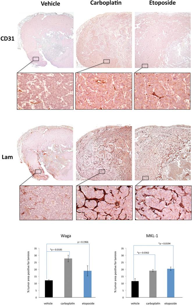 https://cdn.ncbi.nlm.nih.gov/pmc/blobs/2f11/4236190/b289f567251e/nihms609590f3.jpg