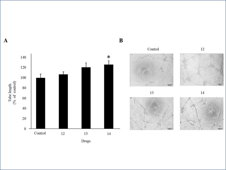 https://cdn.ncbi.nlm.nih.gov/pmc/blobs/2f12/7773249/9fe23eed7545/pone.0244684.g003.jpg