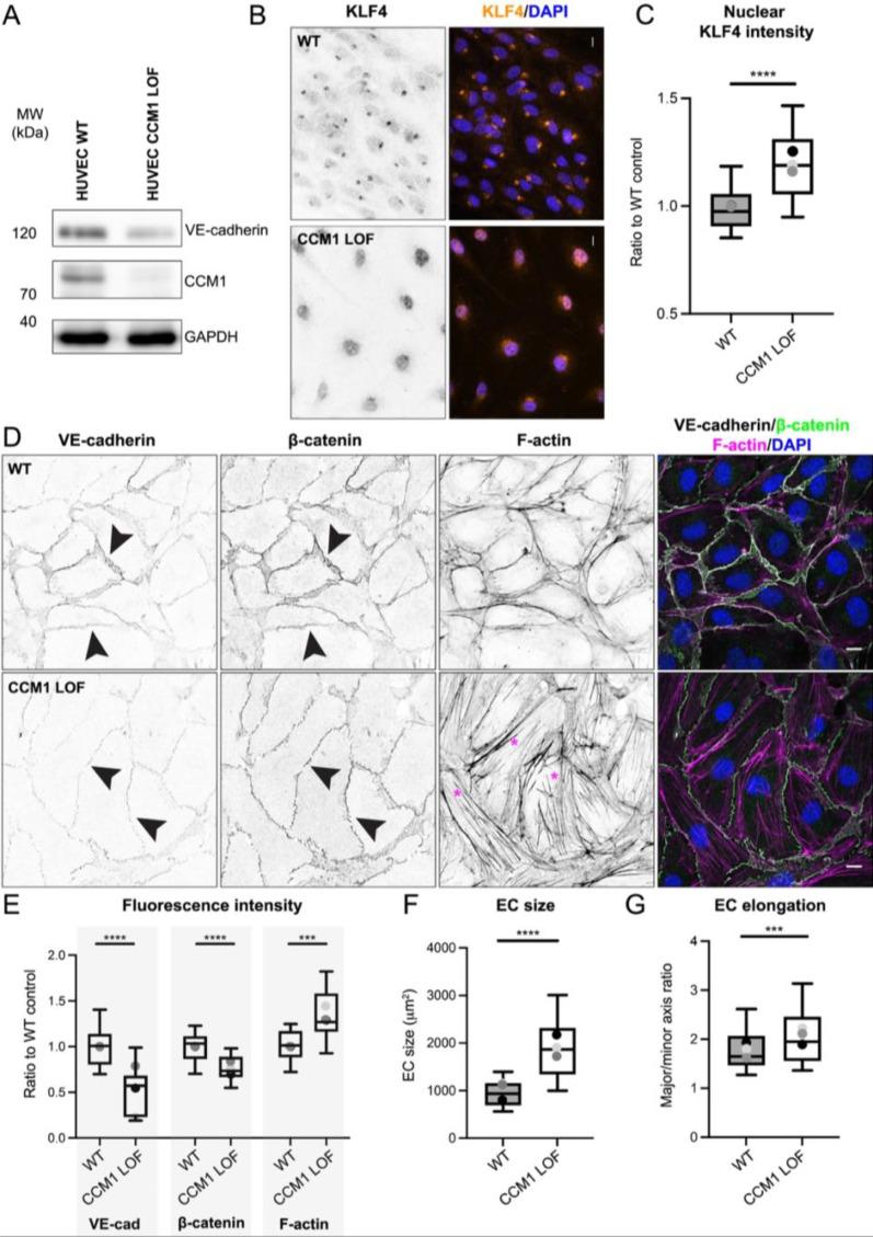 https://cdn.ncbi.nlm.nih.gov/pmc/blobs/2f13/10864035/0fd1489e1ad0/ABPID9-000008-016108_1-g001.jpg