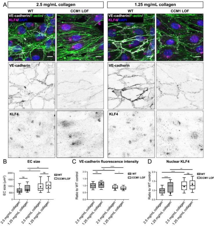 https://cdn.ncbi.nlm.nih.gov/pmc/blobs/2f13/10864035/dd91171a8bec/ABPID9-000008-016108_1-g003.jpg