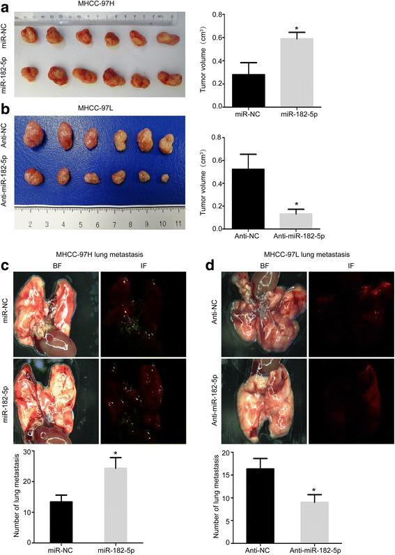 https://cdn.ncbi.nlm.nih.gov/pmc/blobs/2f14/5782375/0c6332e21f3d/13045_2018_555_Fig3_HTML.jpg
