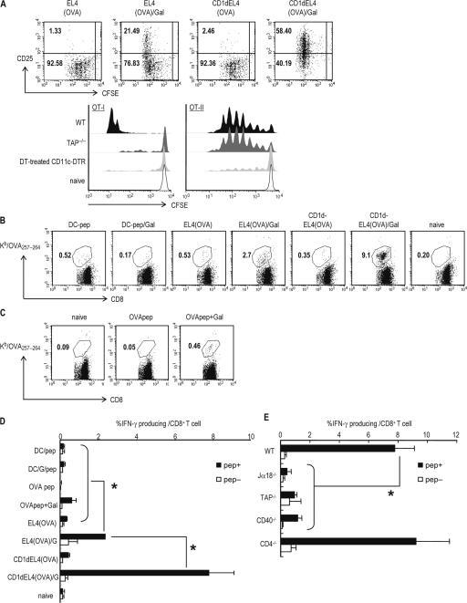 https://cdn.ncbi.nlm.nih.gov/pmc/blobs/2f15/2118481/379a8219183a/jem2042641f04.jpg