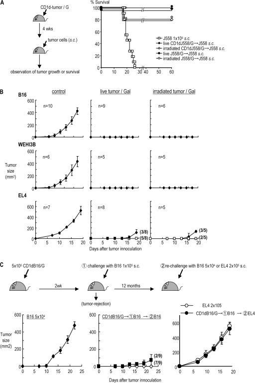 https://cdn.ncbi.nlm.nih.gov/pmc/blobs/2f15/2118481/8613d04d4f5a/jem2042641f03.jpg