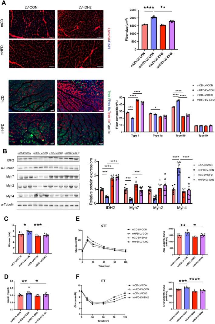 https://cdn.ncbi.nlm.nih.gov/pmc/blobs/2f16/12010212/0ff683e3f36f/JCSM-16-e13825-g006.jpg