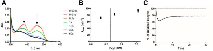 https://cdn.ncbi.nlm.nih.gov/pmc/blobs/2f17/11530802/3d2041623f29/gr2.jpg