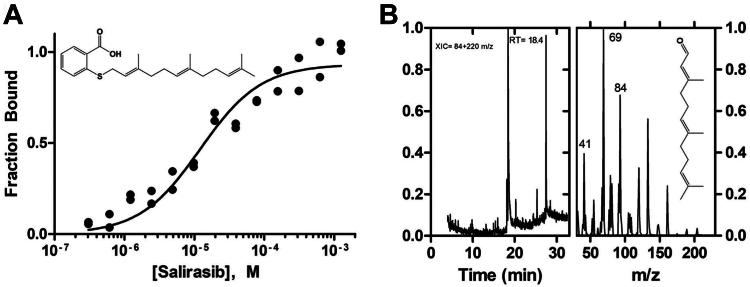 https://cdn.ncbi.nlm.nih.gov/pmc/blobs/2f17/11530802/547e52fee822/gr4.jpg