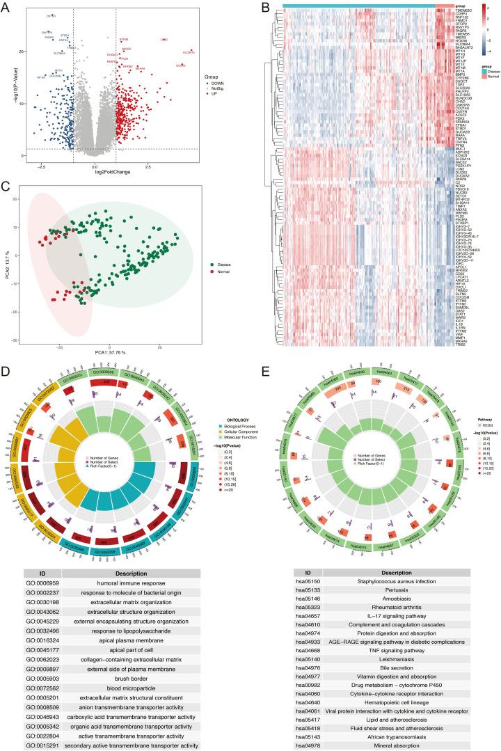https://cdn.ncbi.nlm.nih.gov/pmc/blobs/2f17/12350116/894205485b0f/fimmu-16-1611598-g002.jpg