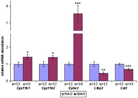 https://cdn.ncbi.nlm.nih.gov/pmc/blobs/2f18/4895259/c7601fb7fb4e/12863_2015_307_Fig2_HTML.jpg