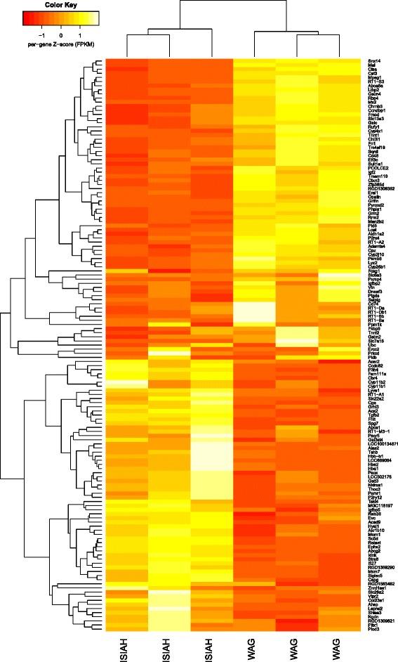 https://cdn.ncbi.nlm.nih.gov/pmc/blobs/2f18/4895259/ce5cd4900fe8/12863_2015_307_Fig1_HTML.jpg