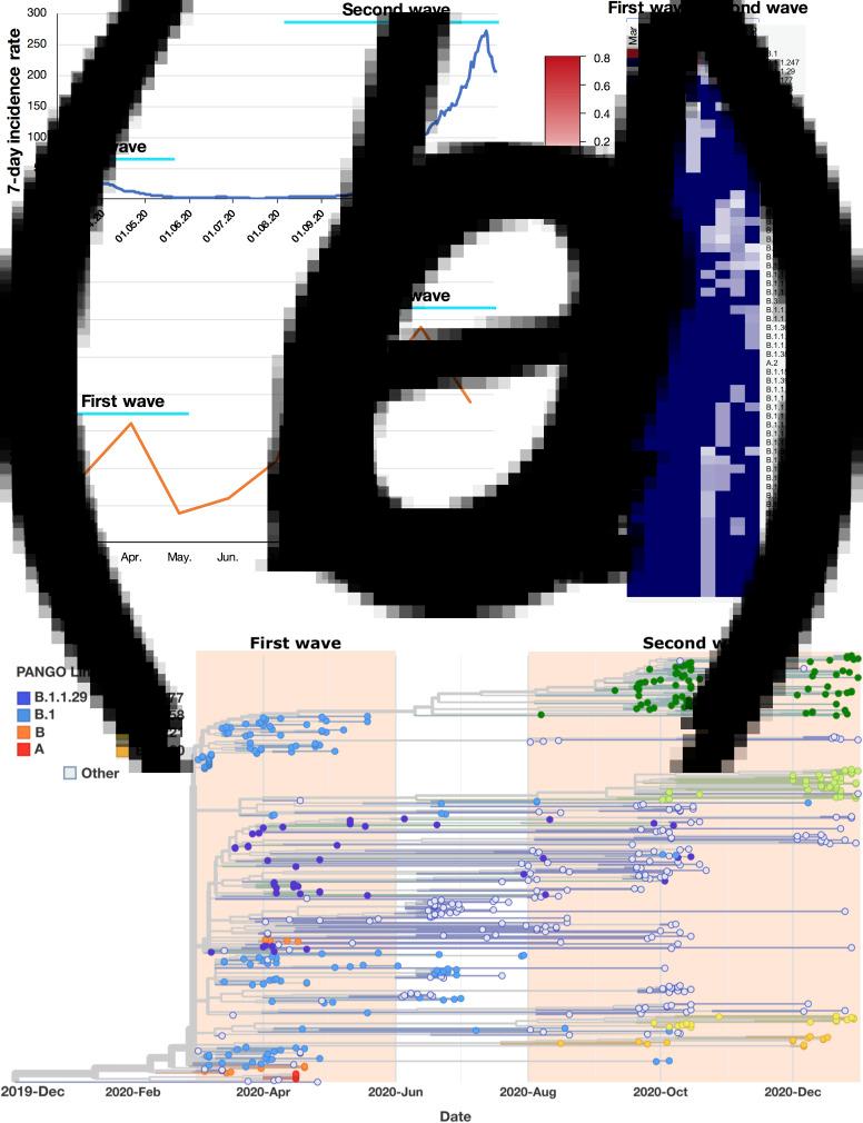https://cdn.ncbi.nlm.nih.gov/pmc/blobs/2f19/8365105/fefbe99fcf8f/S0950268821001461_fig1.jpg