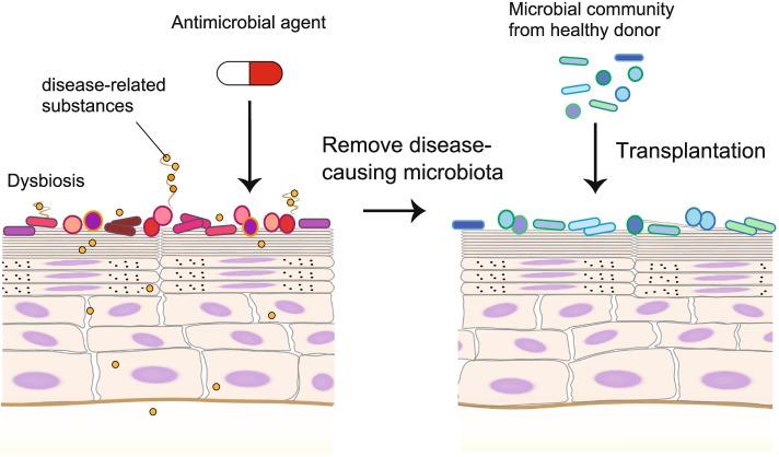 https://cdn.ncbi.nlm.nih.gov/pmc/blobs/2f19/9434865/b7228a3be9a3/41232_2022_212_Fig2_HTML.jpg