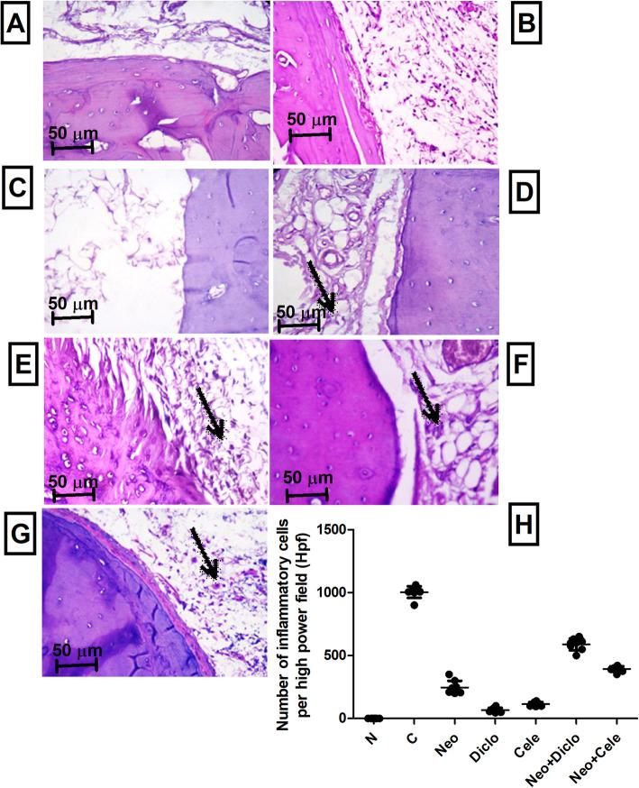 https://cdn.ncbi.nlm.nih.gov/pmc/blobs/2f1a/8088641/97bd8df9482a/40360_2021_488_Fig6_HTML.jpg