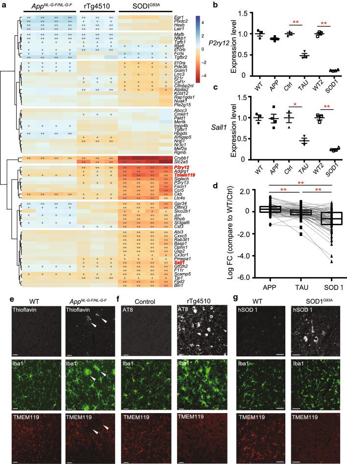https://cdn.ncbi.nlm.nih.gov/pmc/blobs/2f1c/7786928/5855b71f227b/40478_2020_1099_Fig2_HTML.jpg