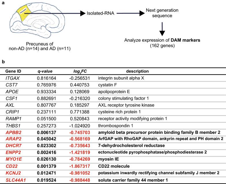https://cdn.ncbi.nlm.nih.gov/pmc/blobs/2f1c/7786928/667255fa377a/40478_2020_1099_Fig5_HTML.jpg