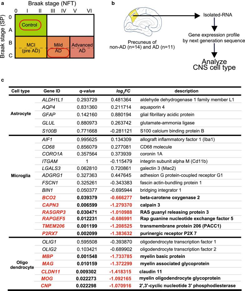 https://cdn.ncbi.nlm.nih.gov/pmc/blobs/2f1c/7786928/6dc7be382de4/40478_2020_1099_Fig4_HTML.jpg