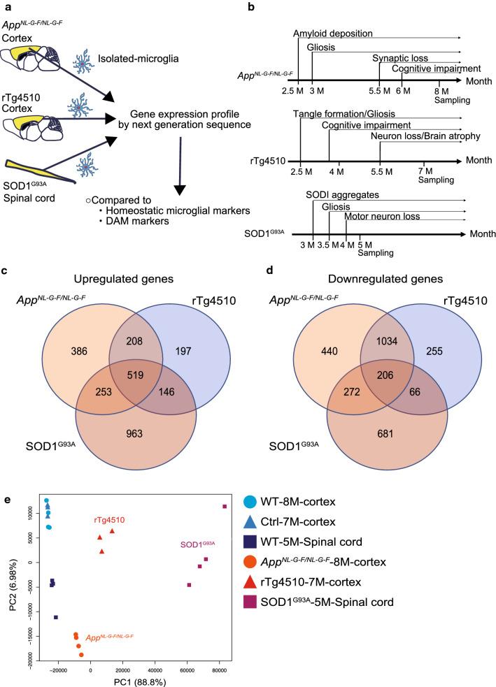 https://cdn.ncbi.nlm.nih.gov/pmc/blobs/2f1c/7786928/bfd2863a3f64/40478_2020_1099_Fig1_HTML.jpg