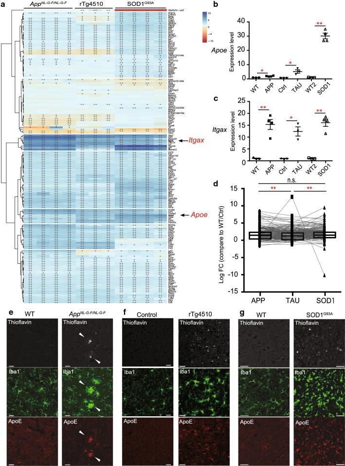 https://cdn.ncbi.nlm.nih.gov/pmc/blobs/2f1c/7786928/ec3fa0c9ec36/40478_2020_1099_Fig3_HTML.jpg