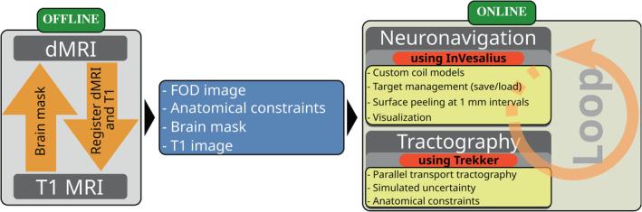 https://cdn.ncbi.nlm.nih.gov/pmc/blobs/2f1e/11685379/77bfd13312a0/HBM-46-e70122-g002.jpg
